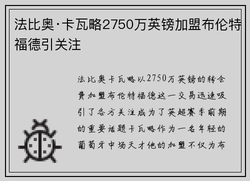 法比奥·卡瓦略2750万英镑加盟布伦特福德引关注